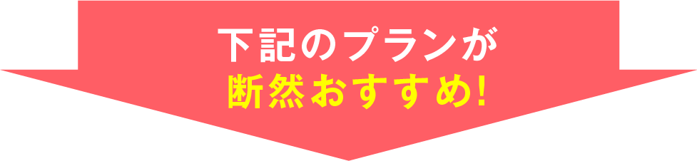 下記のプランが断然おすすめ！