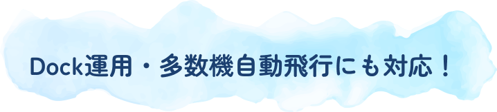 Dock運用・多数機自動飛行にも対応！